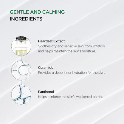Heartleaf 70% Intense Calming Cream - Skin Muse